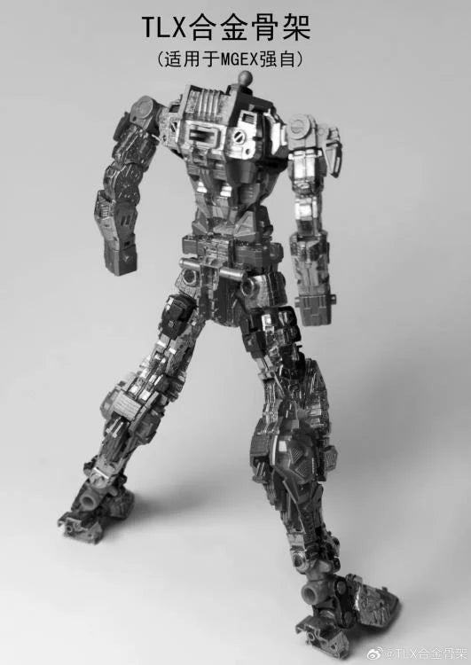 TLX EX02 (Black Ver.) 1/100 Scale Alloy Model Kit Frame Upgrade (MGEX Strike Freedom)
