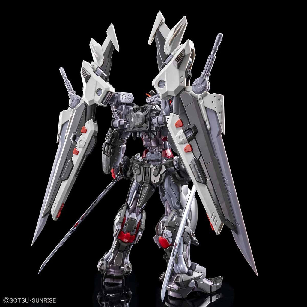 HiRM 1/100 Gundam Astray Noir